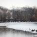 A view of the Huron River looking north west on Wednesday, March 6, 2013. Melanie Maxwell I AnnArbor.com